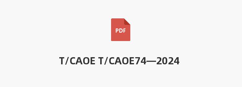 T/CAOE T/CAOE74—2024